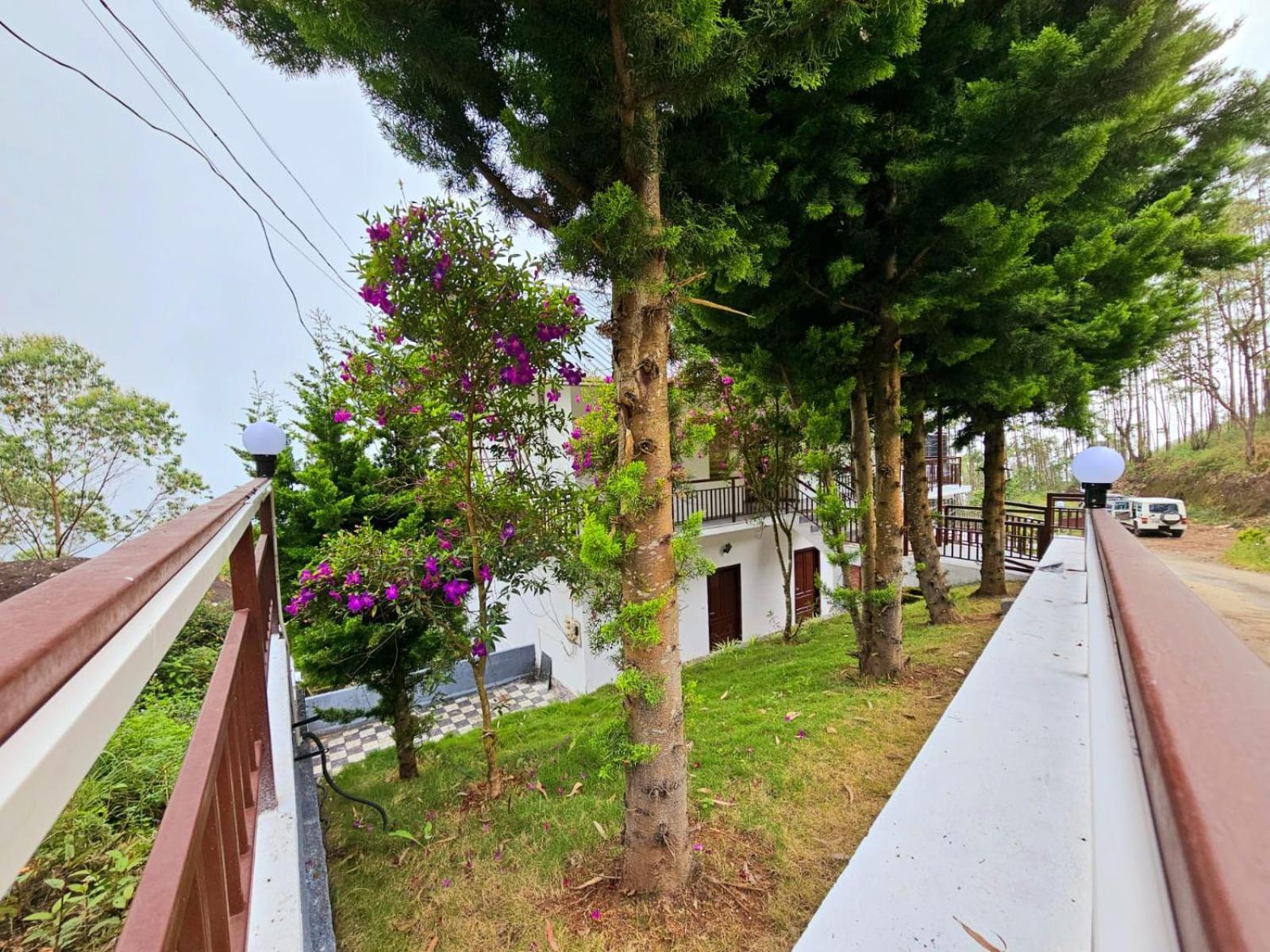 Rock And Mist Munnar Bed & Breakfast Devikolam Exterior photo